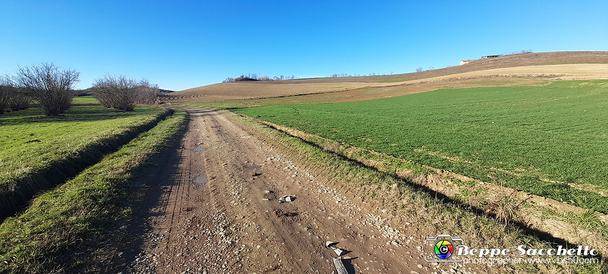 20230110_145449 - Dalla terra... il grano.jpg